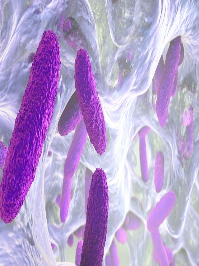 यूरिनरी ट्रैक्ट इन्फेक्शन से बचने का उपाय(UTI)